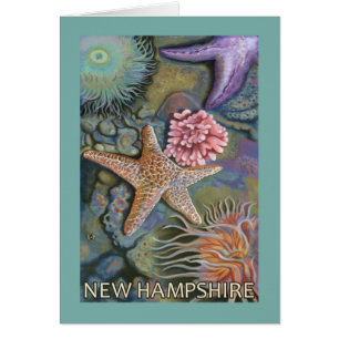 New HampshireTidepool Scene