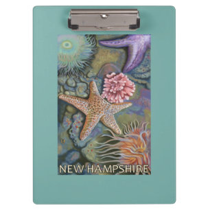 New HampshireTidepool Scene Clipboard