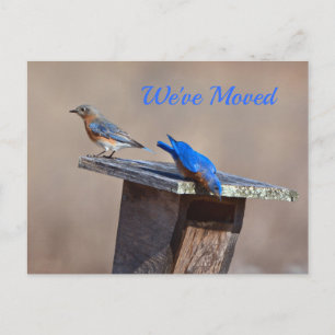 New Home Announcement Postcard