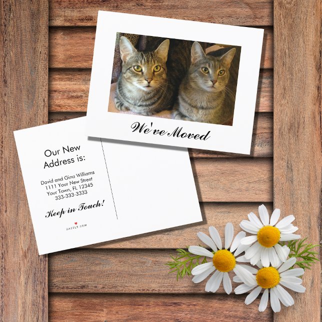 New Home Cute Cats Announcement Postcard (Creator Uploaded)