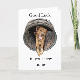 New Home - Rohan the labrador Card
