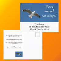 New Home Simple White Seagull Budget Moving