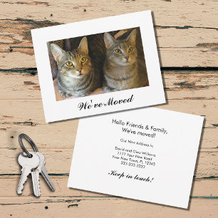 New Home Tabby Cats Moving Announcement