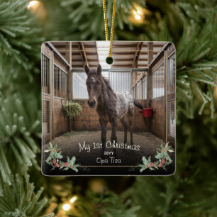 New Horse First Christmas Photo Name Year Holly Ceramic Ornament