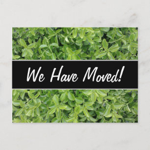 New House; Green Hedge Shrub Type Plant Photograph Announcement Postcard