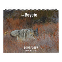 New! 'I am Coyote' 2026/2027 calendar