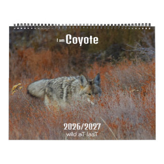 New! 'I am Coyote' 2026/2027 calendar