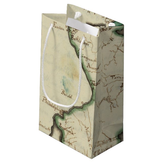 New Jersey 5 Small Gift Bag (Back Angled)