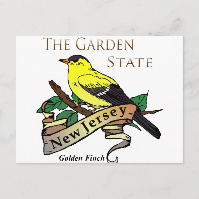 New Jersey Garden State Golden Finch Postcard (Front)