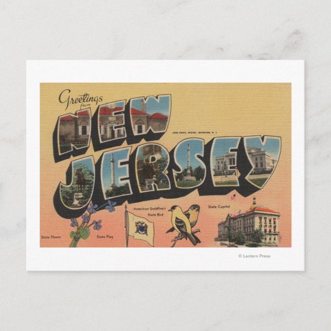 New Jersey (State Capital/Flower/Bird) Postcard (Front)
