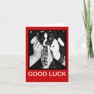 New Job Greeting card