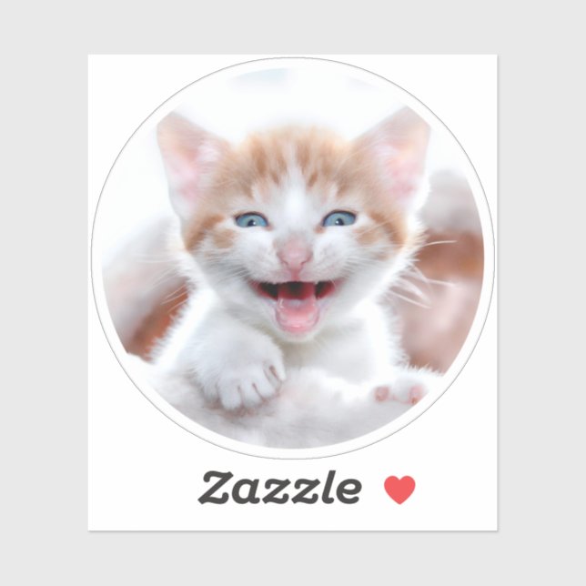 New Kitten Circle Shape Photo (Sheet)