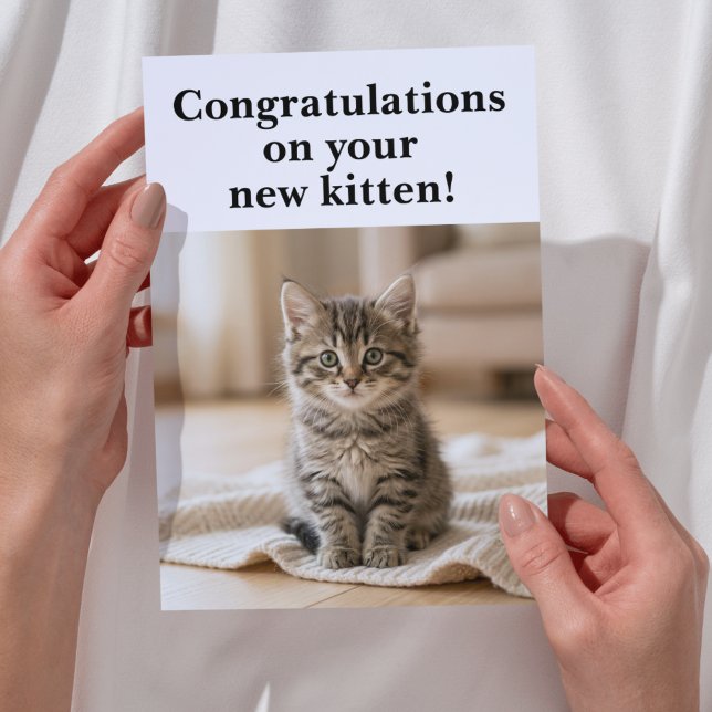 New Kitten Congratulations Sweet Sentimental Card (Congratulations on your new kitten greeting card)