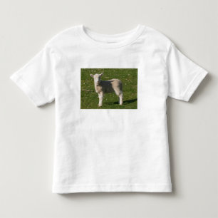 New Lamb, near Dunedin, South Island, New Toddler T-Shirt