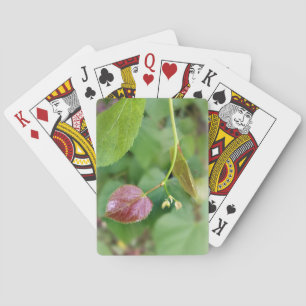 new leaf spring playing cards