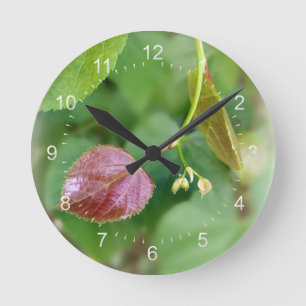 new leaf spring round clock