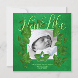 New Life Baby Boy Announcement