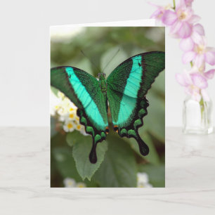 New Life Green Butterfly Photography Blank Card
