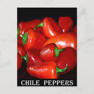 New Mexico Chilli Peppers (Chile) Postcard