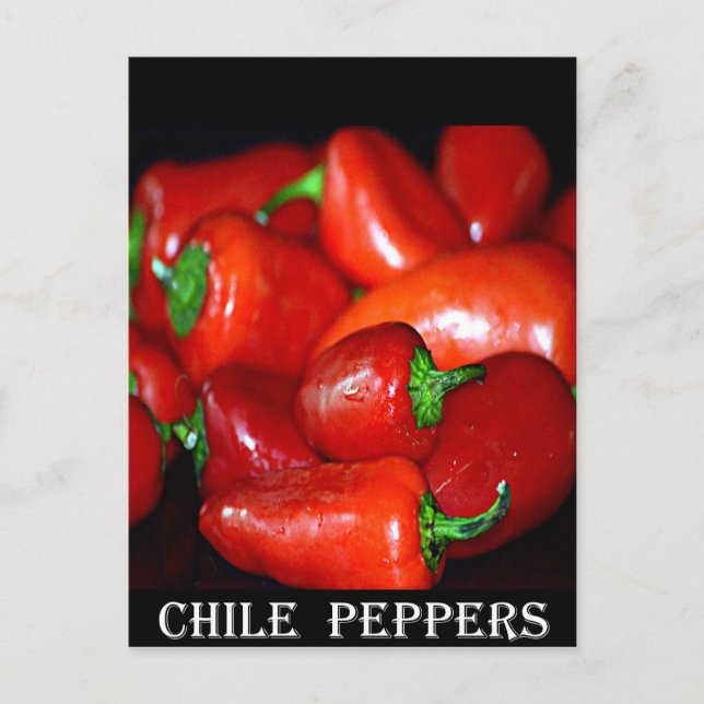 New Mexico Chilli Peppers (Chile) Postcard (Front)