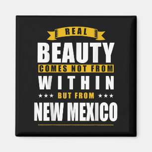 New Mexico - Funny D City Gift Magnet