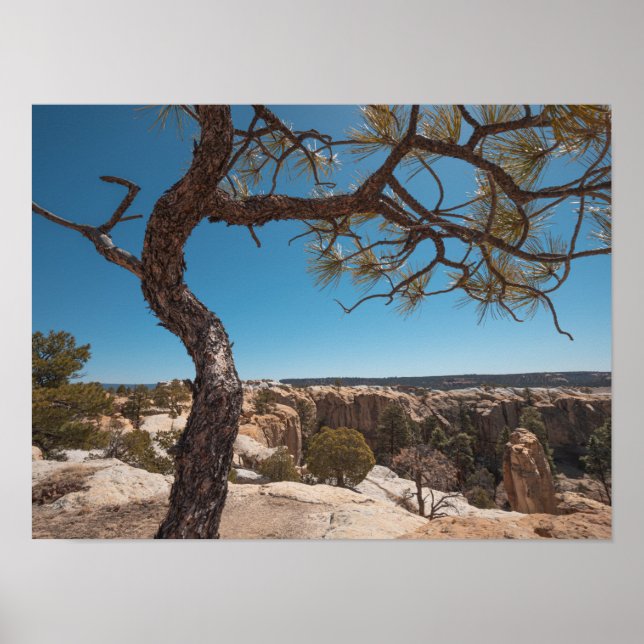 New Mexico Landscape Photograph Poster (Front)