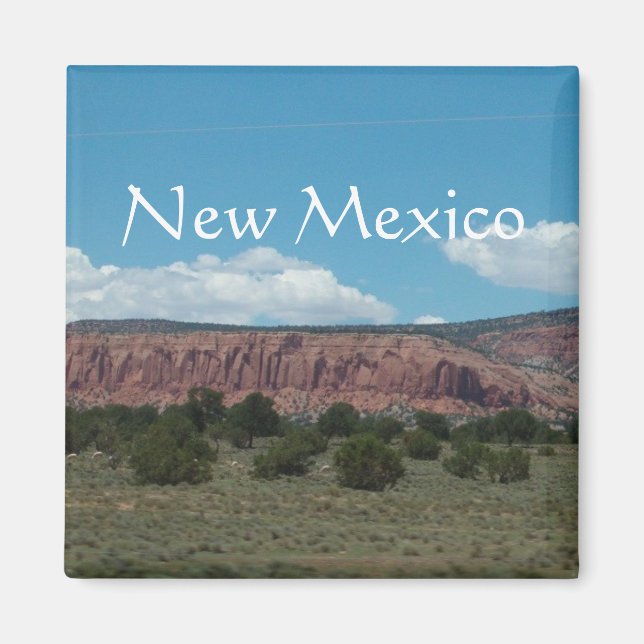New Mexico Mountain landscape. Magnet (Front)