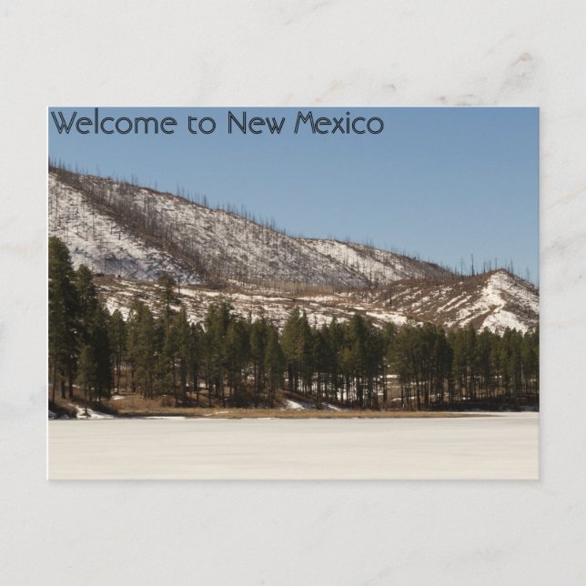 New Mexico Postcard (Front)