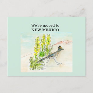 New Mexico Postcard