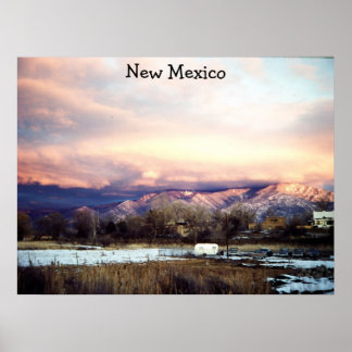 New Mexico poster