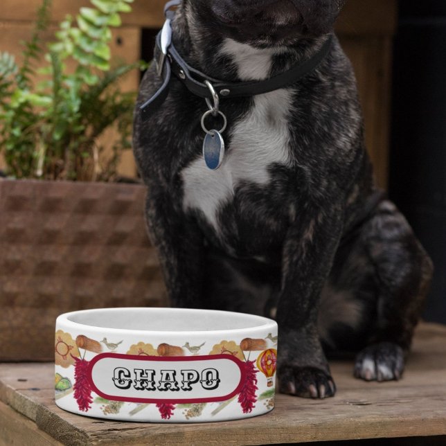 New Mexico Red Chile Pinõn Zia Hot Air Balloon  (Creator Uploaded)