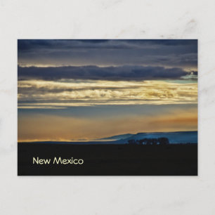New Mexico Skyline Postcard