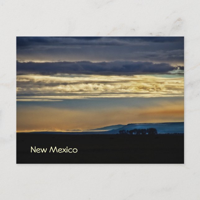 New Mexico Skyline Postcard (Front)