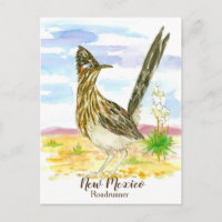 New Mexico State Bird Roadrunner Yucca
