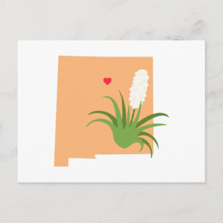 New Mexico State Postcard
