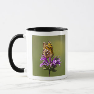 new mexico, united states of america mug