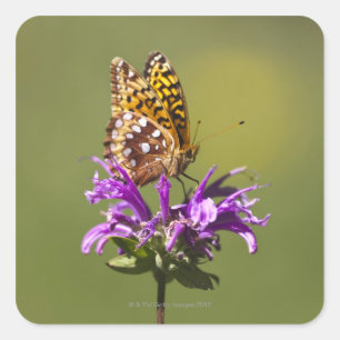 new mexico, united states of america square sticker