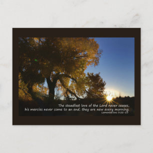 New Mornings Postcard