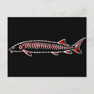 New Native - White Sturgeon Postcard