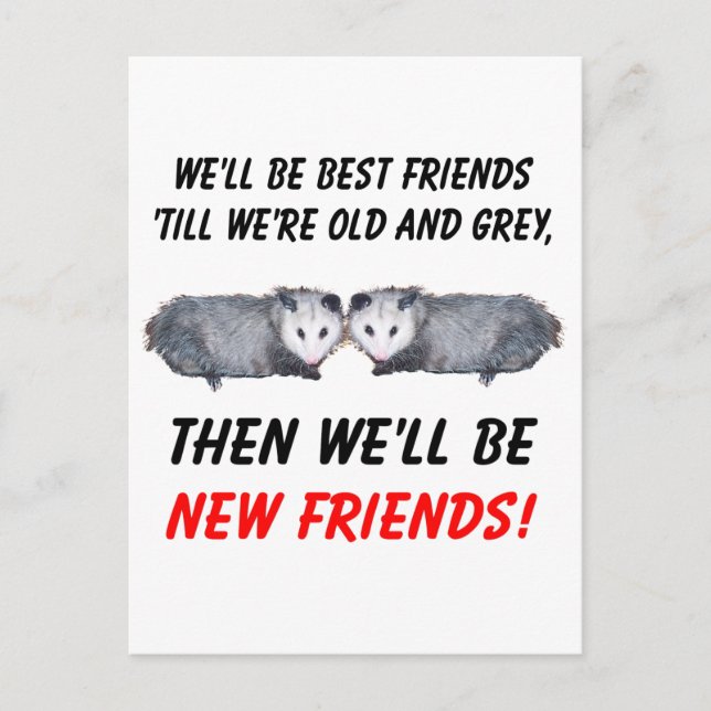 New Old Friends with Possums Postcard (Front)