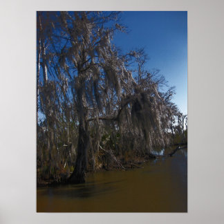 New Orleans Bayou Poster