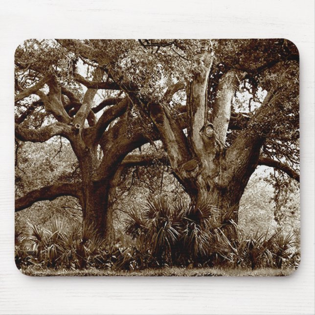 New Orleans Live Oak Trees Mouse Pad (Front)