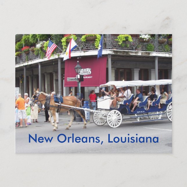 New Orleans, Louisiana House & Carriage Postcard (Front)