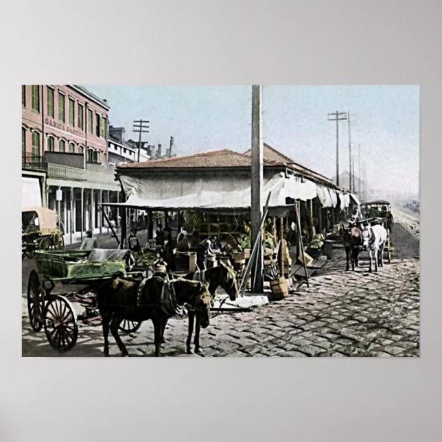 New Orleans, Louisiana Poster (Front)