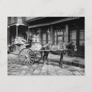 New Orleans Milk Cart: 1903 Postcard
