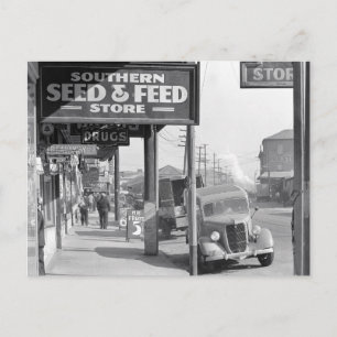 New Orleans Sidewalk, 1935 Postcard