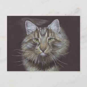 New Pet Announcement Postcard