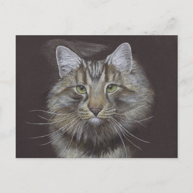 New Pet Announcement Postcard (Front)