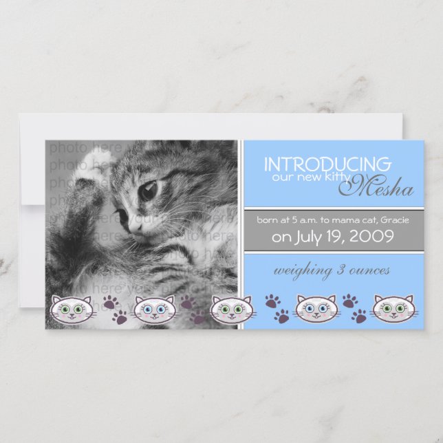 New Pet Birth Announcement (Front)