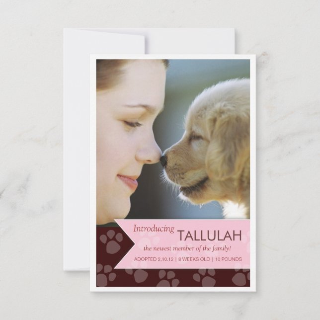 New Pet Brown Pink Banner Photo Announcement (Front)